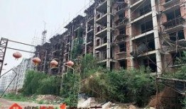 石家庄花园爆料案件最新