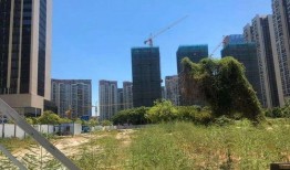 最新家园爆料,最新动态与未来展望