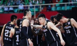 辽宁队最新爆料,揭秘球队备战新赛季的神秘计划