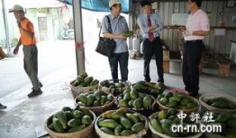 延津吃瓜最新事件爆料新闻,最新爆料揭示惊人内幕